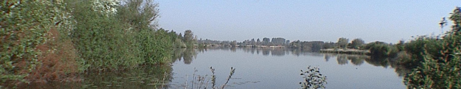 Le marais de Saint Omer