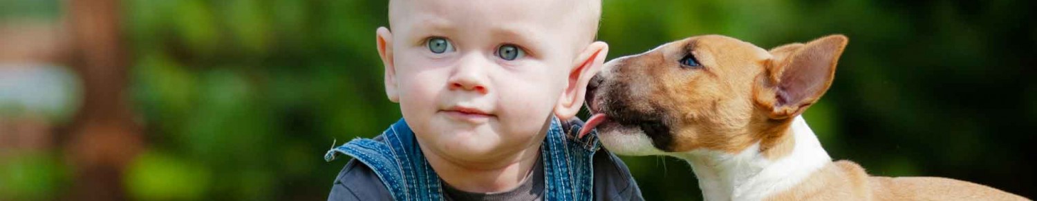 Pour que Médor et Bébé ne soient pas comme chien et chat…