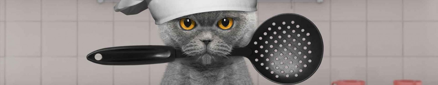 Pour un chat bien dans son assiette…